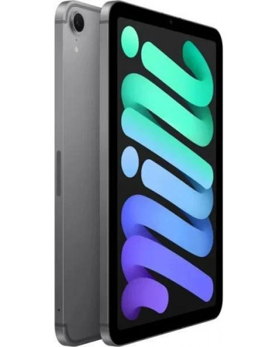 Планшет Apple iPad mini 7 Wi-Fi + Cellular 128GB Space Gray (MXPN3)