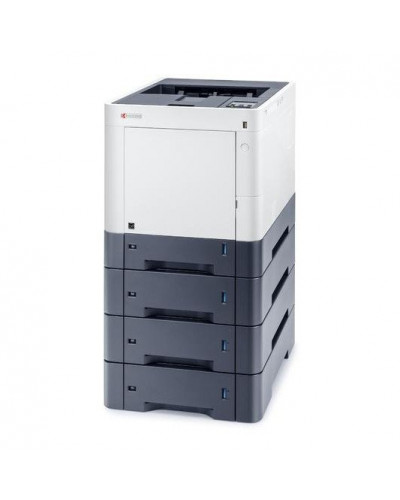 Принтер Kyocera ECOSYS P6230cdn (1102TV3NL0)