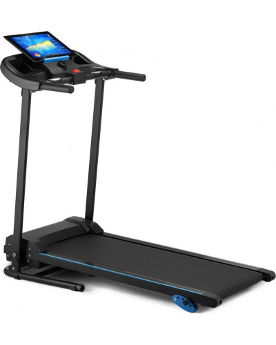 Биговая дорожка электрическая Gymtek XT500