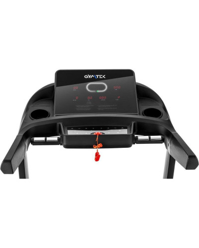 Биговая дорожка электрическая Gymtek XT900