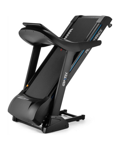 Биговая дорожка электрическая Gymtek XT900
