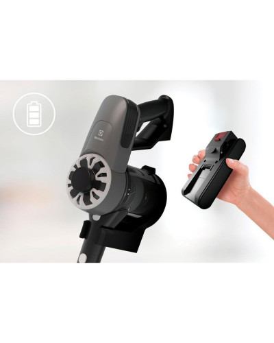 Вертикальний пилосос (1В1) Electrolux EP31CB21GP