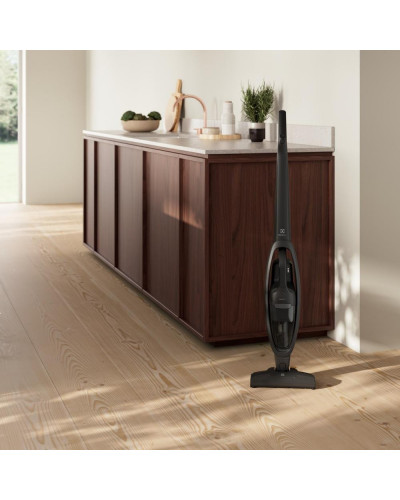 Вертикальный + ручной пылесос (2в1) Electrolux ES31CB18GG