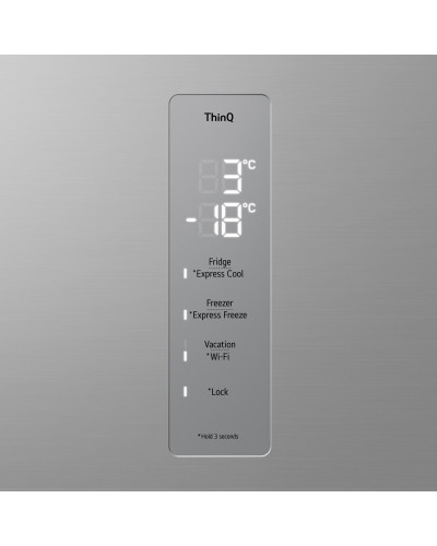 Холодильник з морозильною камерою LG GBV5250DPY