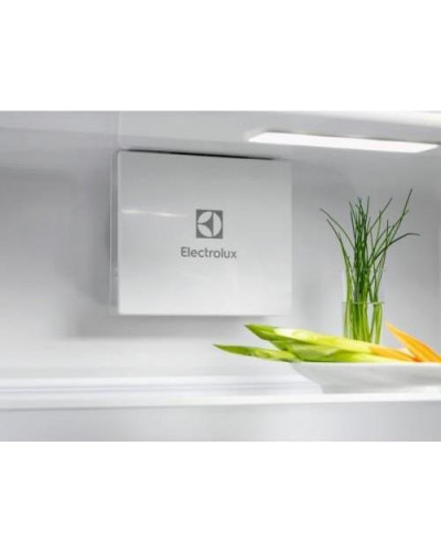 Холодильна камера Electrolux ERD6DE18S1