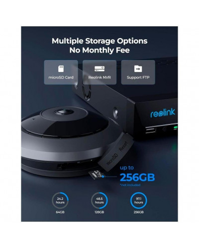 IP-камера видеонаблюдения Reolink Fisheye Series P520 FE-P (1.98 мм)