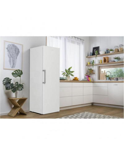 Холодильна камера Gorenje R619EEW5