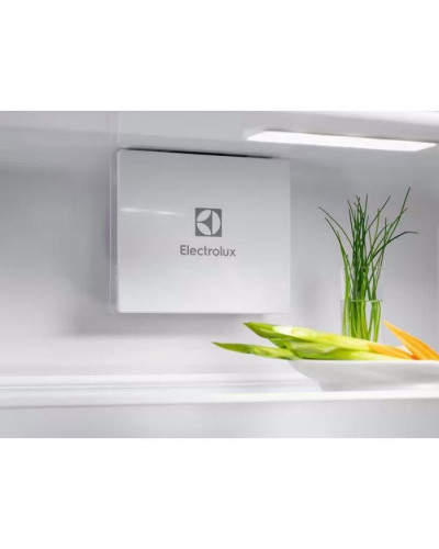 Холодильник с морозильной камерой Electrolux KNG7TE75S