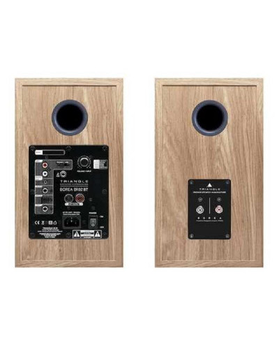 Акустичні колонки Triangle Borea Active BR02 BT Light Oak Blue