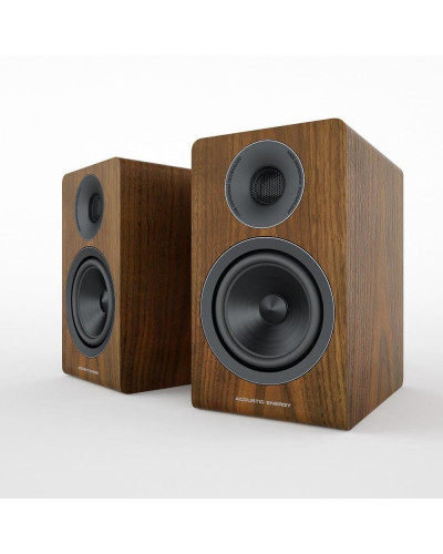 Фронтальні акустичні колонки Acoustic Energy AE 300 Walnut Wood Veneer