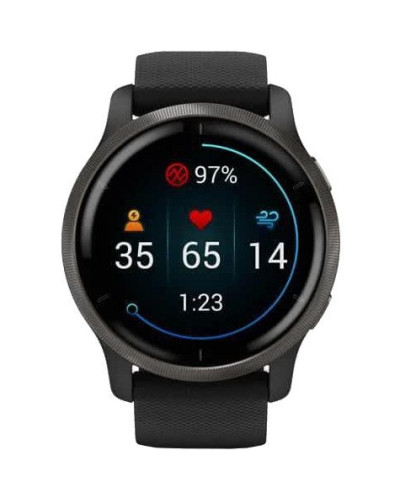 Смарт-часы Garmin Venu 2 Slate Stainless Steel Bezel with Black Case and Silicone Band (010-02430-11/01)