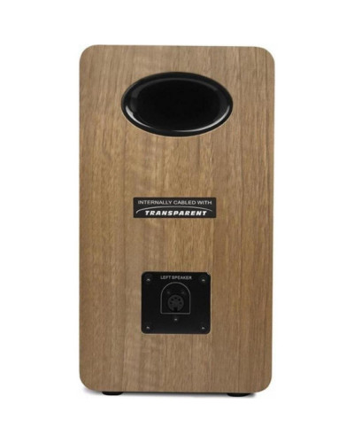 Мультимедийная акустика AirPulse A80 Brown