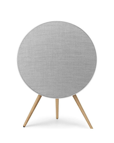 Акустичні системи (колонки) Bang & Olufsen Beosound A9 5th Gen. Natural