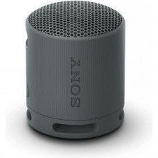 Портативна колонка Sony SRS-XB100 Black (SRSXB100B)