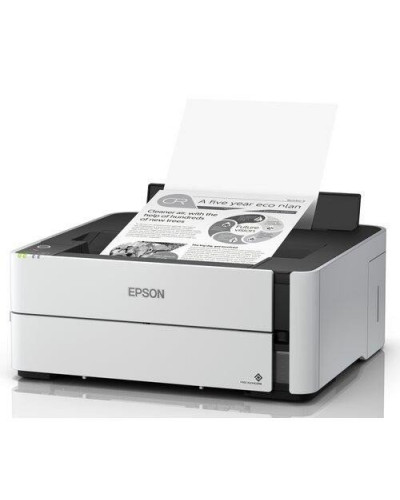 Принтер Epson M1180 (C11CG94403)