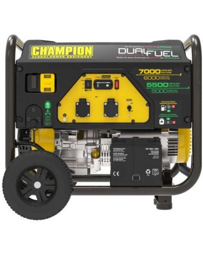 Комбинированный генератор (газ-бензин) Champion 7000 Watt LPG Dual Fuel (CPG7500E2-DF-EU)