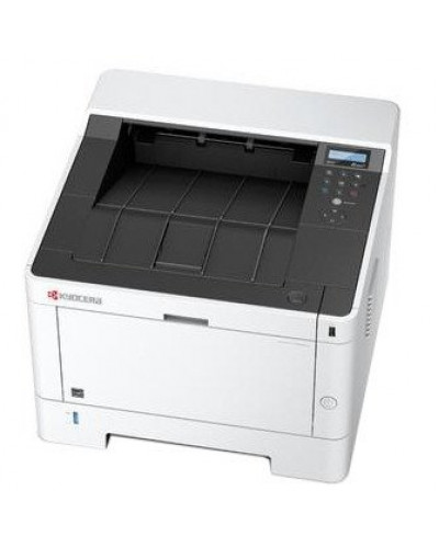 Принтер Kyocera ECOSYS P2040dw (1102RY3NL0)