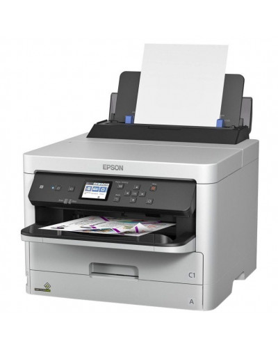 Принтер Epson WorkForce Pro WF-C5210DW (C11CG06401)