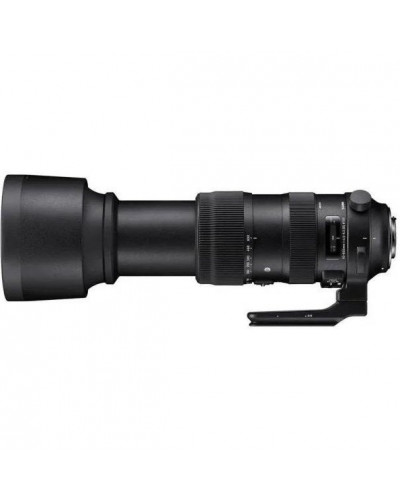 Долгофокусный объектив Sigma AF 60-600mm f/4,5-6,3 DG OS HSM sport