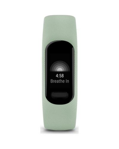 Фітнес-браслет Garmin Vivosmart 5 Cool Mint (010-02645-12/02)