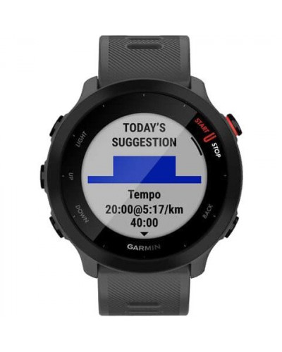 Спортивний годинник Garmin Forerunner 55 Monterra Grey (010-02562-13)