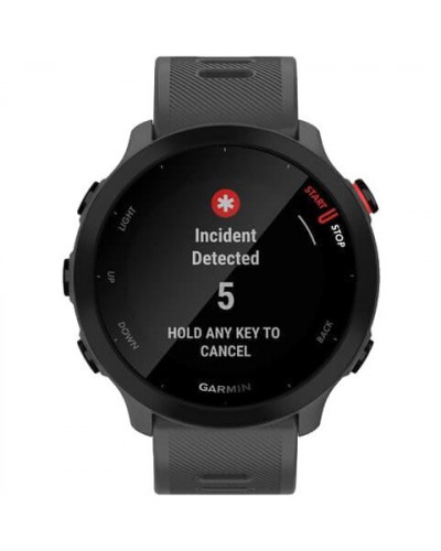 Спортивний годинник Garmin Forerunner 55 Monterra Grey (010-02562-13)