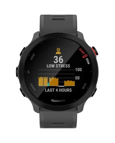 Спортивний годинник Garmin Forerunner 55 Monterra Grey (010-02562-13)