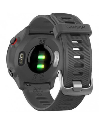 Спортивний годинник Garmin Forerunner 55 Monterra Grey (010-02562-13)