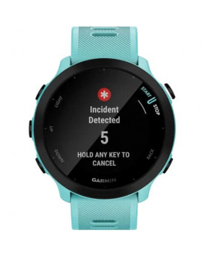 Спортивные часы Garmin Forerunner 55 Aqua (010-02562-12/02)