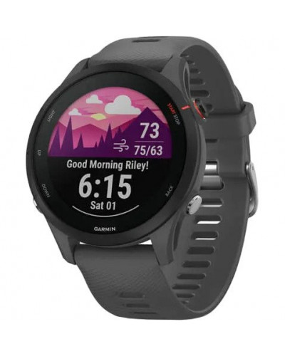 Смарт-часы Garmin Forerunner 255 Slate Gray (010-02641-00/10/43)