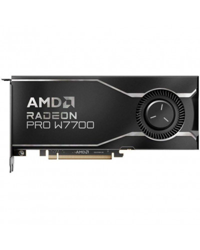 Видеокарта AMD Radeon PRO W7700 16 GB (100-300000006)