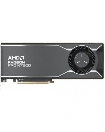 Видеокарта AMD Radeon PRO W7900 (100-300000074)