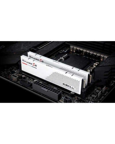 Память для настольных компьютеров G.Skill 32 GB (2x16GB) DDR5 5600 MHz Ripjaws S5 White (F5-5600J4040C16GX2-RS5W)