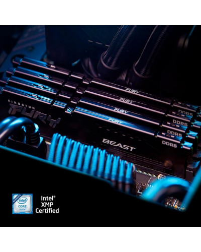 Пам'ять для настільних комп'ютерів Kingston FURY 64 GB (2x32GB) DDR5 6400 MHz Beast Black (KF564C32BBK2-64)