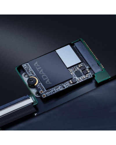 SSD накопичувач ADATA GAMMIX S55 2 TB (SGAMMIXS55-2T-C)