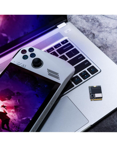 SSD накопичувач ADATA GAMMIX S55 2 TB (SGAMMIXS55-2T-C)