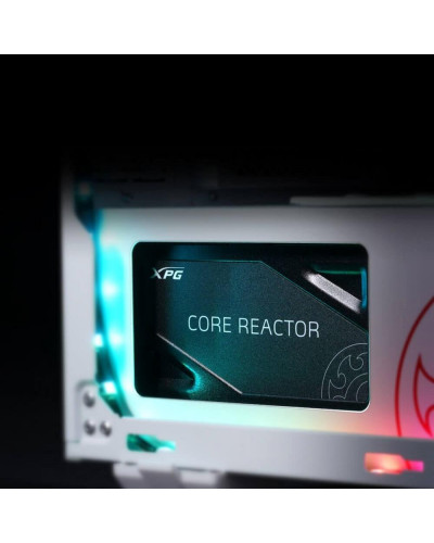 Блок живлення ADATA XPG Reactor Core 850 (COREREACTOR850G-BKCEU)