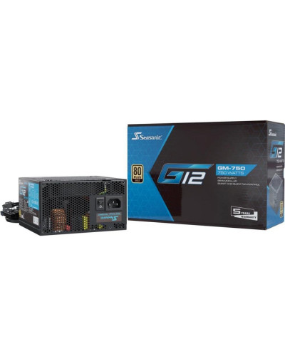 Блок живлення SeaSonic Focus 750 Gold (SSR-750FM)