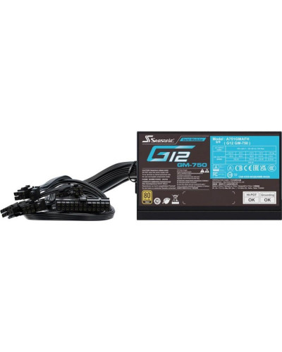Блок живлення SeaSonic Focus 750 Gold (SSR-750FM)
