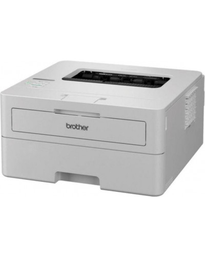 БФП Brother HL-B2180DW (HLB2180DWYJ1)