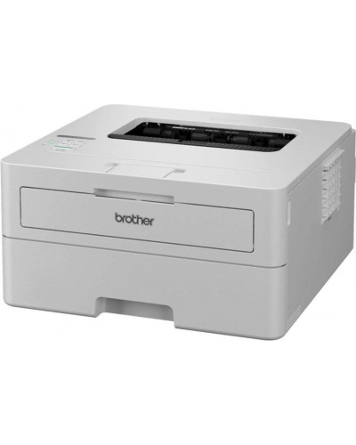 БФП Brother HL-B2180DW (HLB2180DWYJ1)