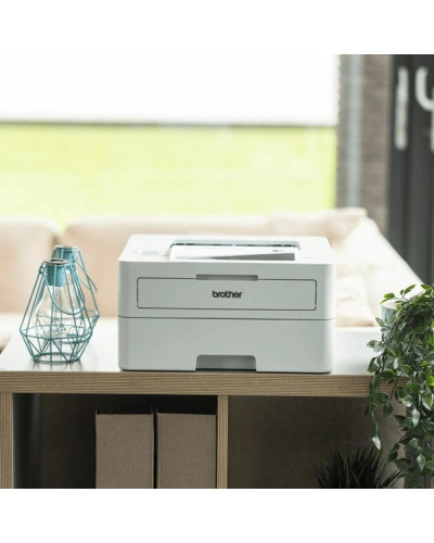 БФП Brother HL-B2180DW (HLB2180DWYJ1)