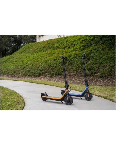 Дитячий електросамокат Ninebot C2 PRO E (AA.10.04.02.0013)
