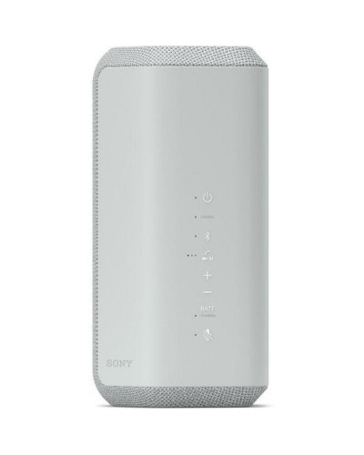 Портативная колонка Sony SRS-XE300 (SRSXE300H.RU2)