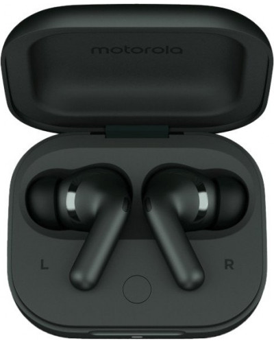 Навушники TWS Motorola Moto Buds+ Forest Grey (PG38C05743)