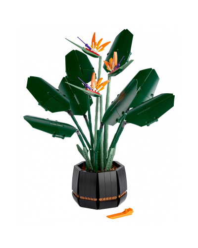 Блоковий конструктор LEGO Botanicals Райський птах (10289)