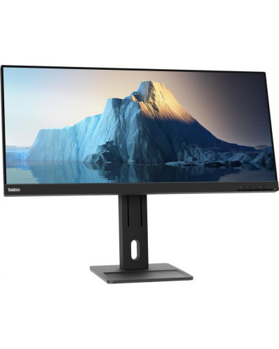 Монітор Lenovo ThinkVision E29w-20 (62CEGAT3EU)