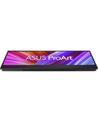 Монитор ASUS ProArt PA147CDV (90LM0720-B01170)