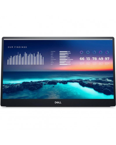 Портативный монитор Dell P1424H (210-BHQQ)