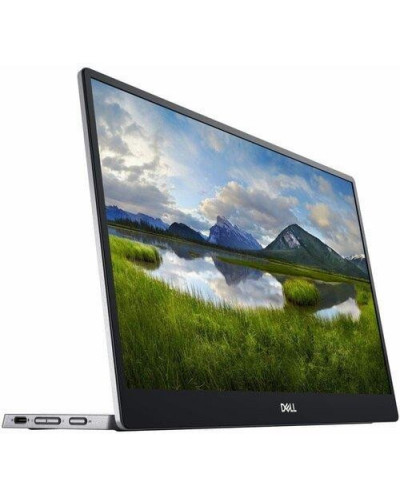 Портативний монітор Dell C1422H (210-AZZZ)